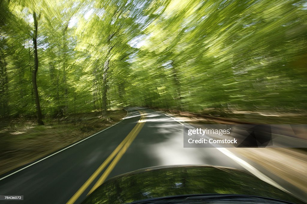 Blur of trees from car driving on road