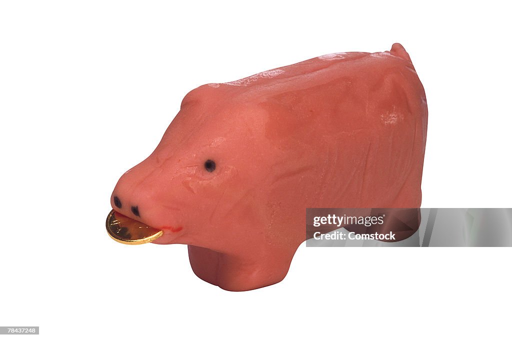 Marzipan pig with gold coin