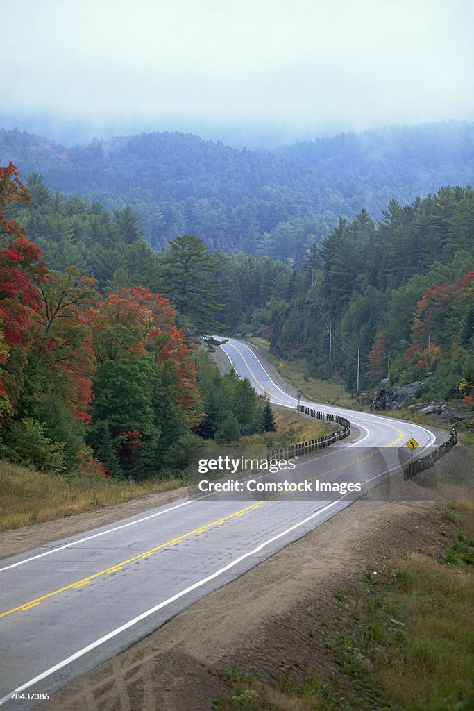 Scenic wooded highway