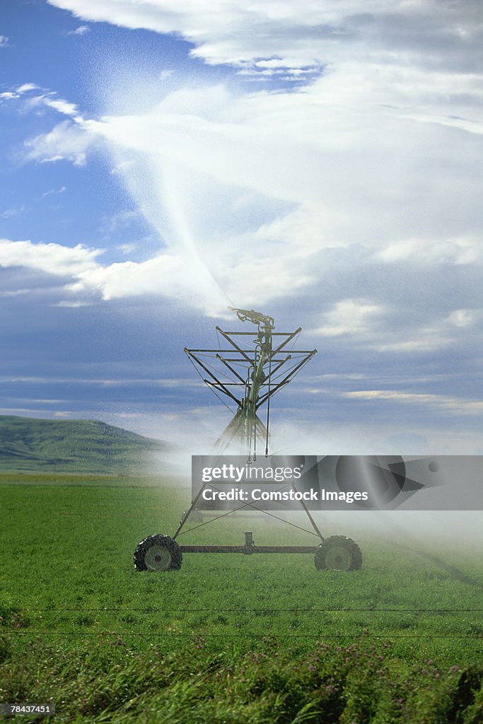 Irrigation system in a field