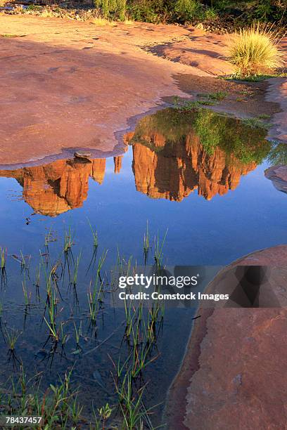 reflection of cathedral rock , sedona , arizona - oak creek canyon fotografías e imágenes de stock