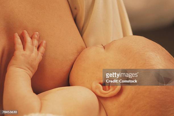 baby nursing from breast - säugen stock-fotos und bilder