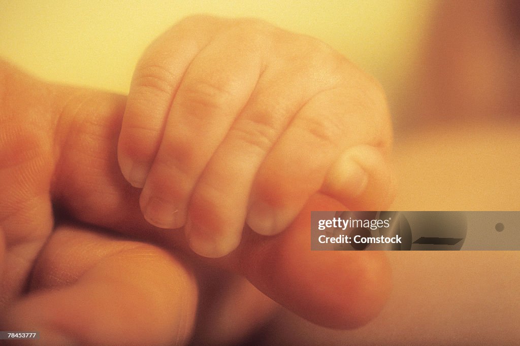 Baby's hand grasping adult finger