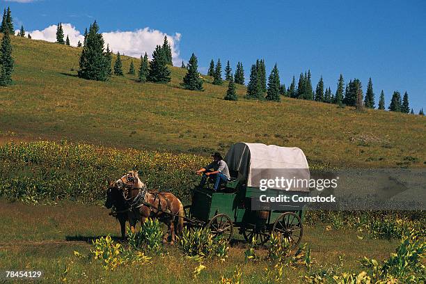 3,741 幌馬車 Stock Photos, High-Res Pictures, and Images - Getty Images