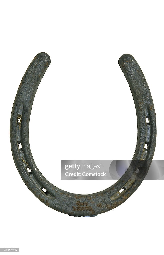 Horseshoe