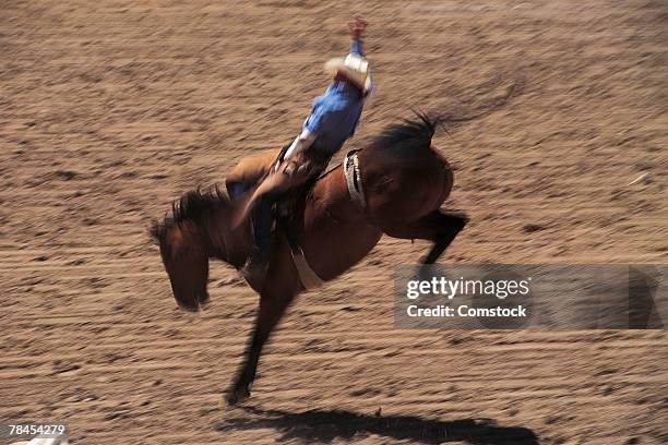 bronco busting at rodeo in cheyenne, wyoming - cheyenne-wyoming stockfoto's en -beelden