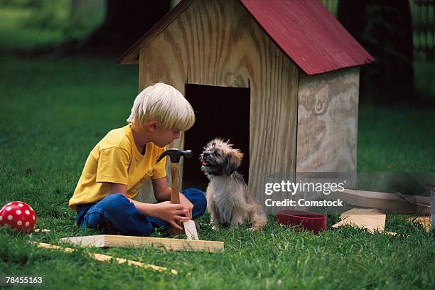boy building a dog house for puppy - kennel stock pictures, royalty-free photos & images