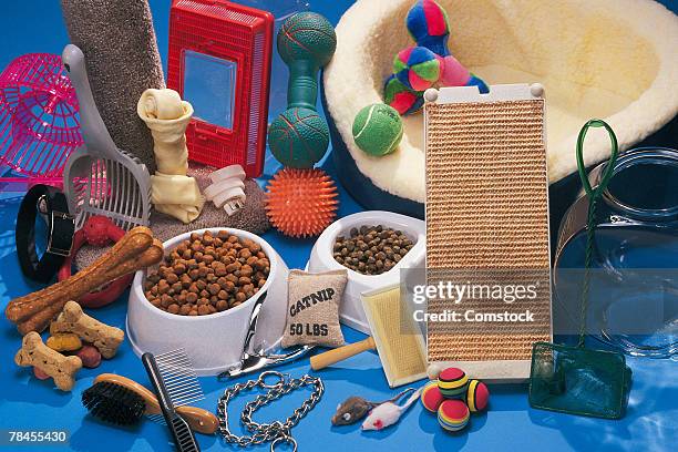 pet accessories - scratching post stock pictures, royalty-free photos & images