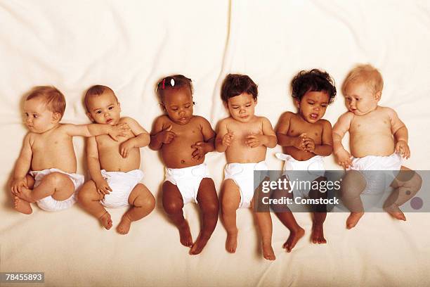 row of babies - cute baby studioshot stock-fotos und bilder