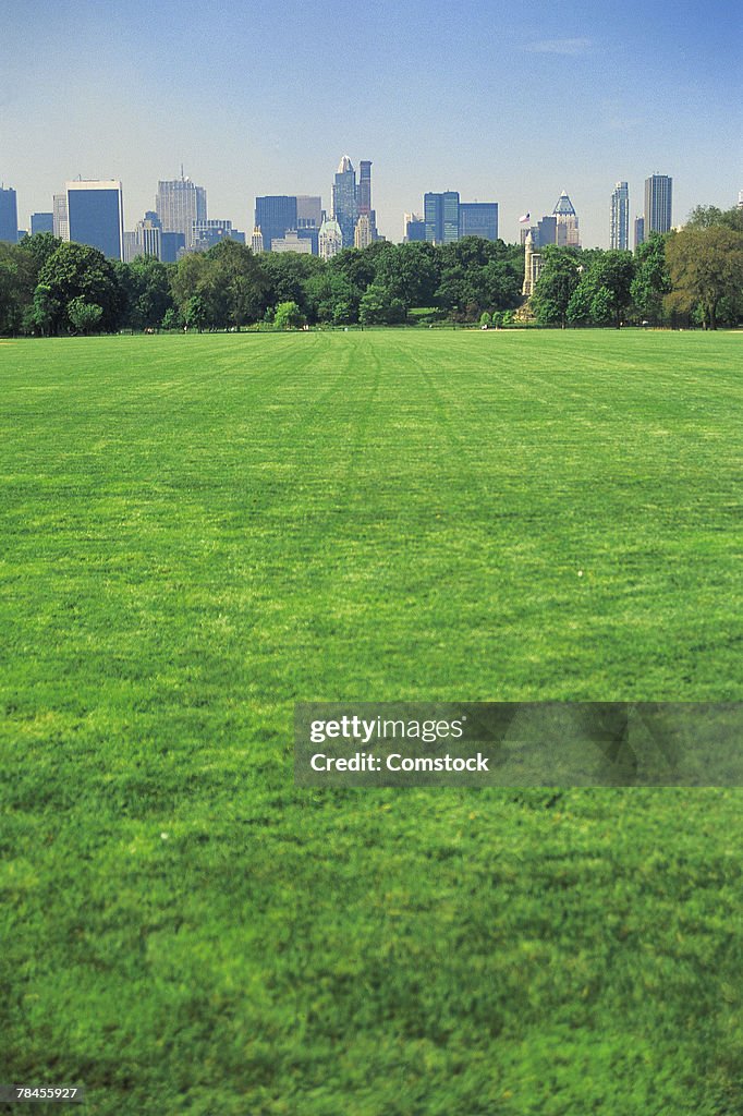 Central Park and city skyline , New York City , USA