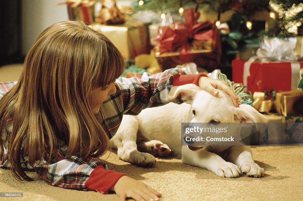 Little girl petting puppy by Christmas tree