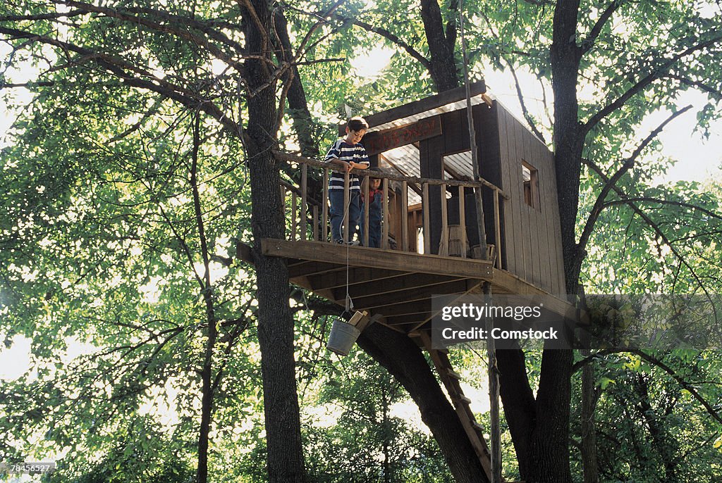 Boy and girl in tree house