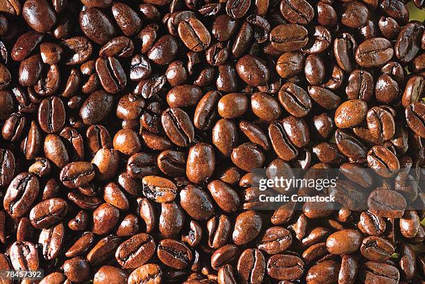 Coffee Beans High-Res Stock Photo