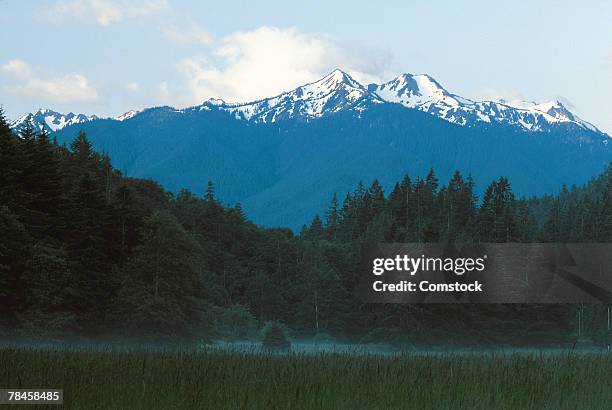 olympic national park , mt. olympus , washington - mount-olympus-olympic-national-park stock pictures, royalty-free photos & images