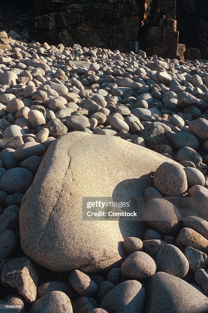 Stony beach in Acadia National Park in Maine