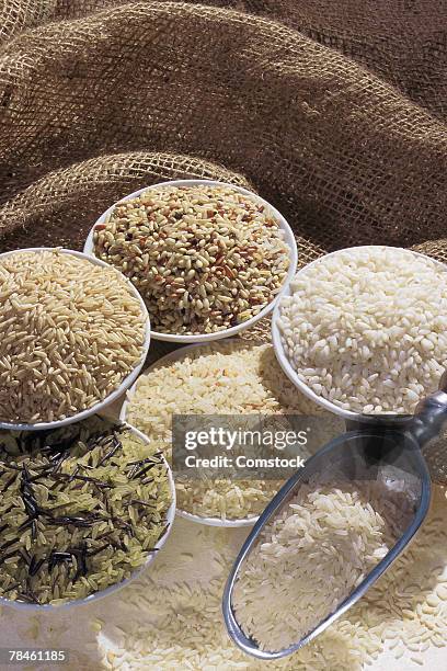 Types Rice Stocking 675 Rice Types Stock Photos, High-Res Pictures, and Images - Getty Images