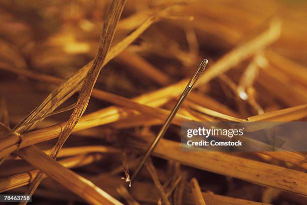 needle in a haystack - impossible tasks stock pictures, royalty-free photos & images