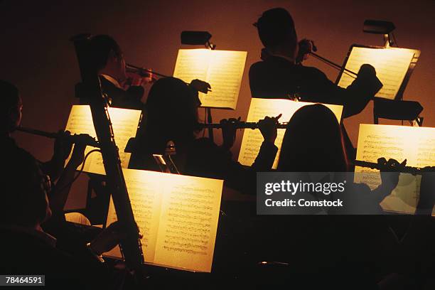 symphony orchestra - orchestra foto e immagini stock