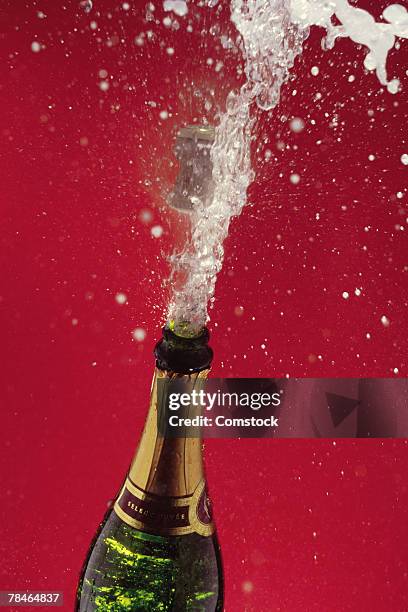 cork popping on champagne bottle - spraying champagne stock pictures, royalty-free photos & images