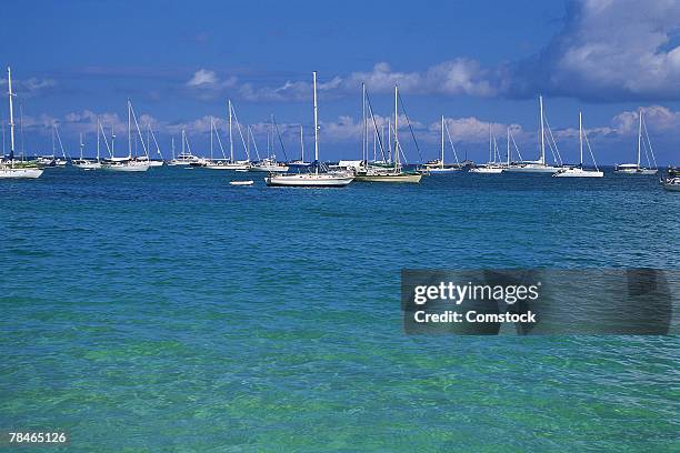 tropical boat marina - antilles stock pictures, royalty-free photos & images