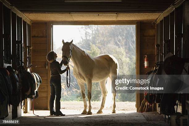 woman in stable with horse - pferdestall stock-fotos und bilder