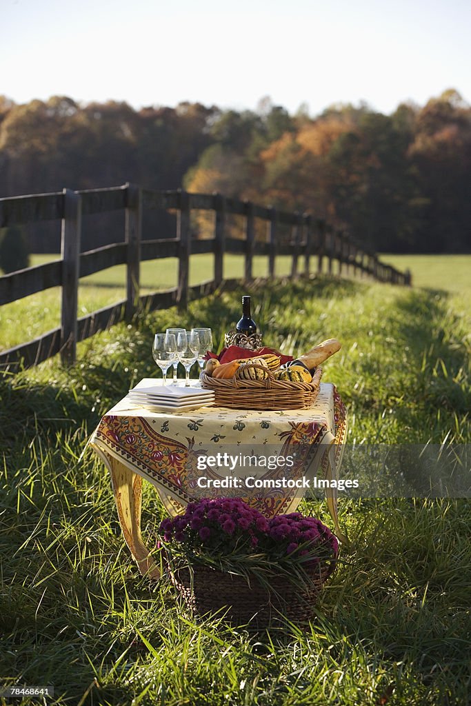 Picnic in field