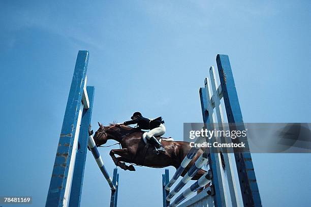 horse show jumping - hindernisrace paardenrennen stockfoto's en -beelden