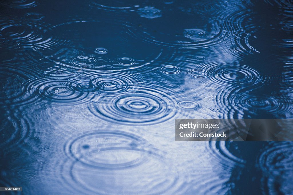 Rain drops in puddle