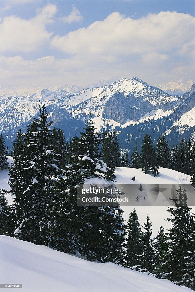 Bavarian Alps in Munich , Germany