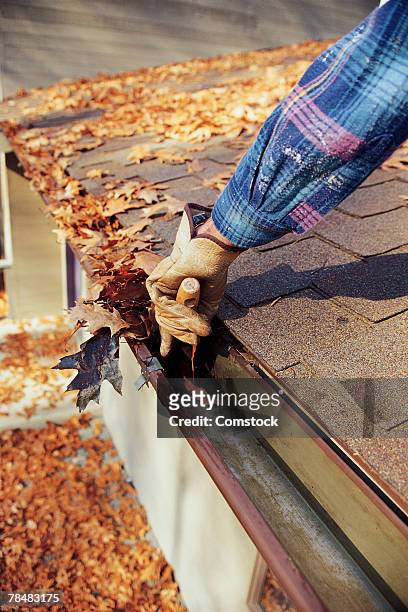 hand taking leaves out of gutter - cleaning gutters stock pictures, royalty-free photos & images