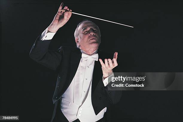 conductor - orchestra conductor foto e immagini stock