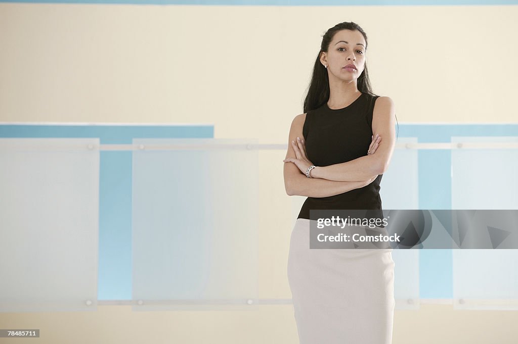 Portrait of businesswoman