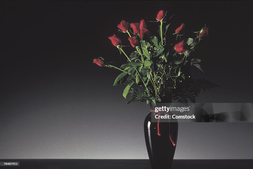 Roses in a vase