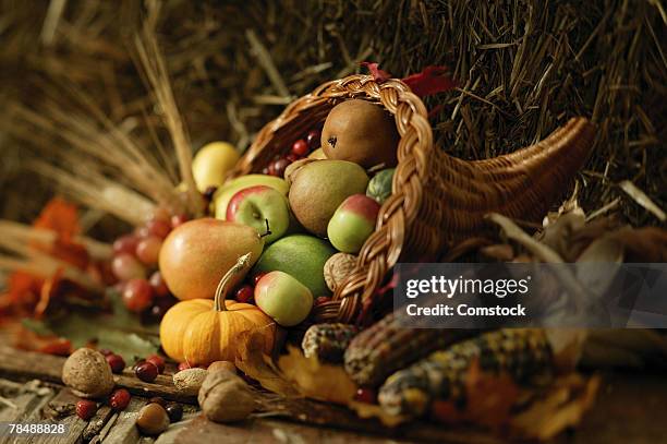 basket of fruits and vegetables - füllhorn stock-fotos und bilder