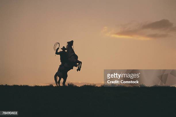 cowboy on rearing horse - se cabrer photos et images de collection