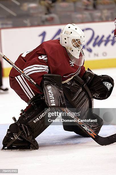 Ilya Bryzgalov of the Phoenix Coyotes protects the goal during the NHL game against the San Jose Sharks at the Jobing.com Arena on December 7, 2007...