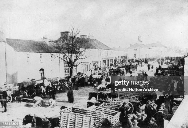 Pig-fair taking place in the main street at Abbeyleix, County Laois, Eire, circa 1855.