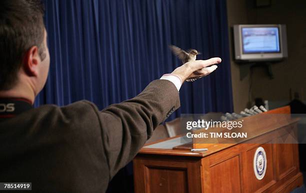 Finch bird lands on the outstretched hand of a still photographer in the Senate Radio/Television Studio on 17 December 2007 on Capitol Hill in...