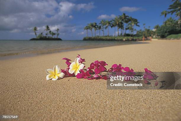 lei on beach , oahu , hawaii - lei day hawaii - fotografias e filmes do acervo