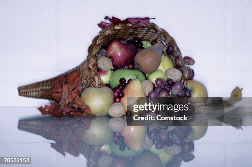 Cornucopia Cornucopia