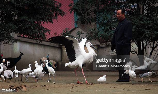 Tourists view birds at the Xuanwu Hu Aviary on December 18, 2007 in Nanjing of Jiangsus Province, China. According to state media, the Ministry of...