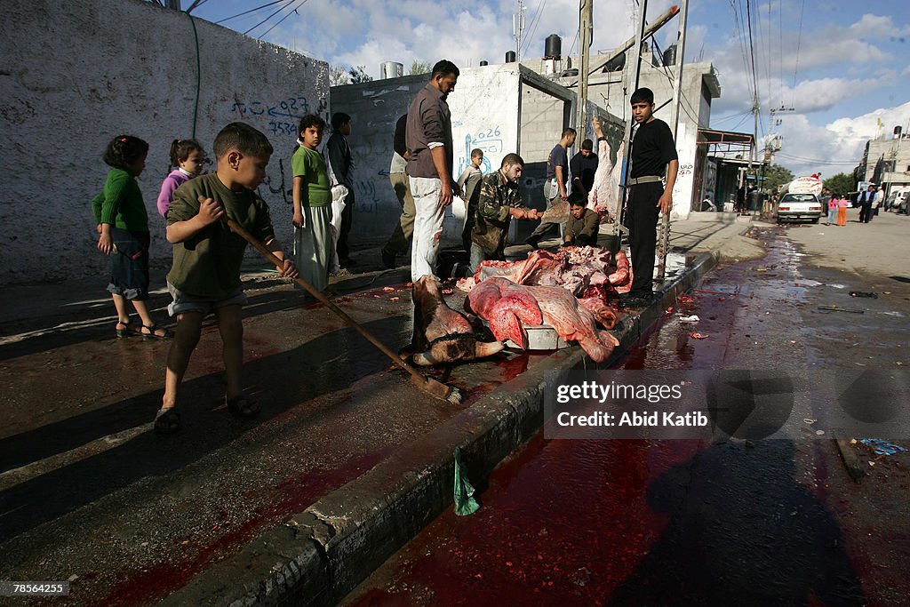 palestinians-slaughter-animals-to-celebrate-eid-al-adha.jpg