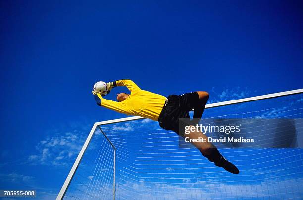 football, goalkeeper in mid jump, goal in background, low angle view - defender soccer stock pictures, royalty-free photos & images