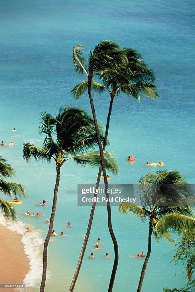 People on beach, viewed through palm trees, Hawaii, USA