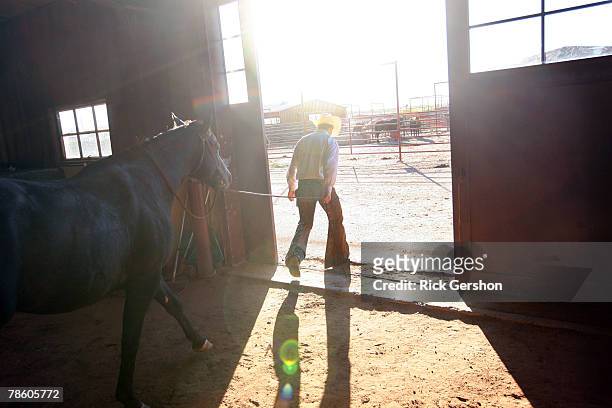 Guthrie Jaguar six man football player Ty Fox leads his horse out to be worked on the 6666 Ranch October 24, 2007 in Guthrie, Texas. The players are...