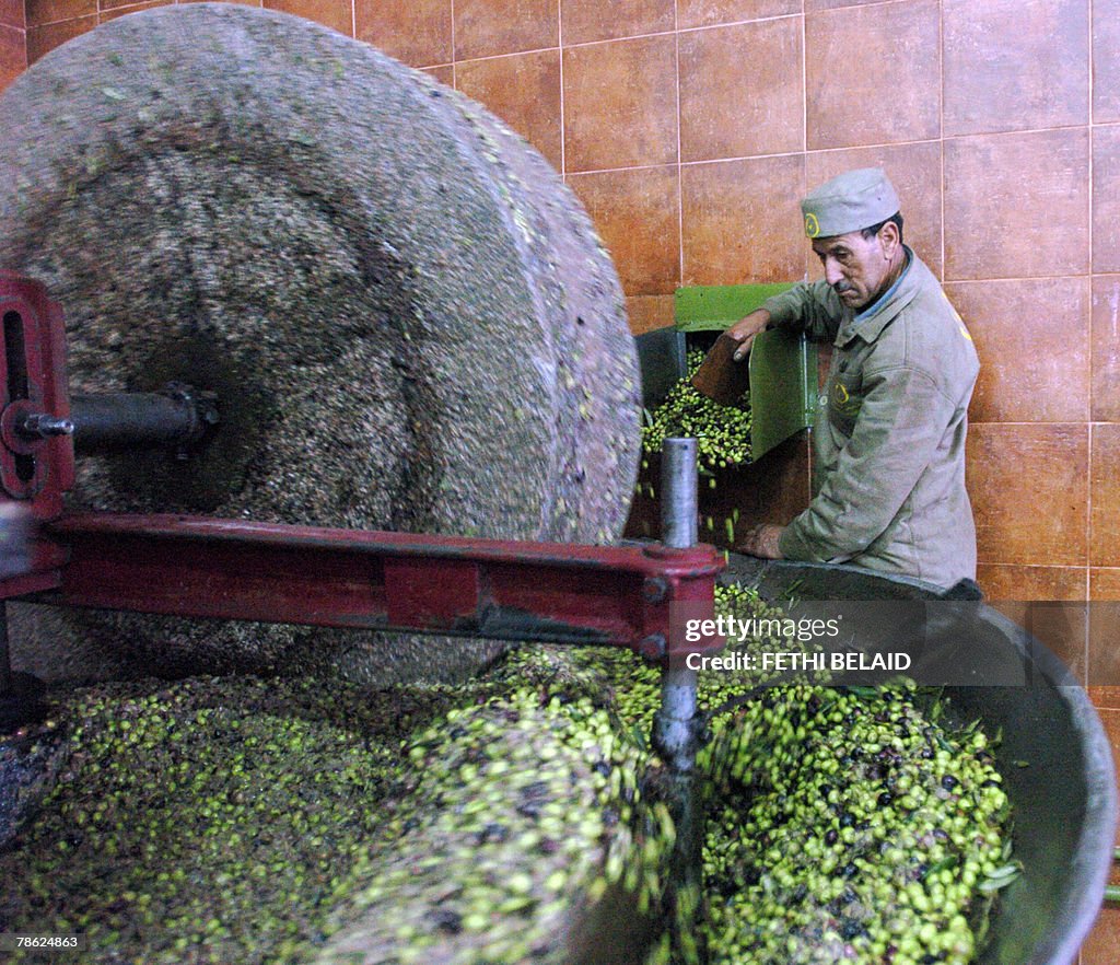 A Tunisian worker grounds olives during