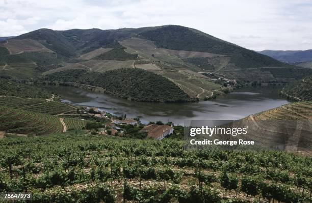 The Douro River and Cockburn's Quinta Dos Canais vineyard are viewed in this 2003 Douro River Valley, Portugal, aerial photo.