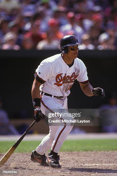 Segui Baseball Baseball David Segui Photos and Premium High Res Pictures - Getty Images