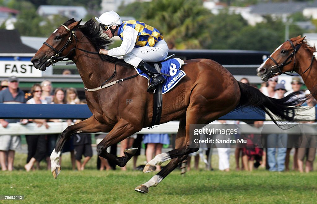 Ellerslie Races Craig Grylis rides Pasta Post to victory in the Don Ha City of... News ...