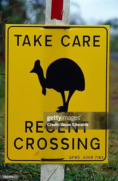 mission beach, queensland, australia. - mission beach queensland stockfoto's en -beelden